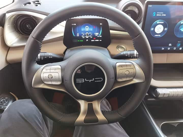 Фото 3 - BYD Dolphin