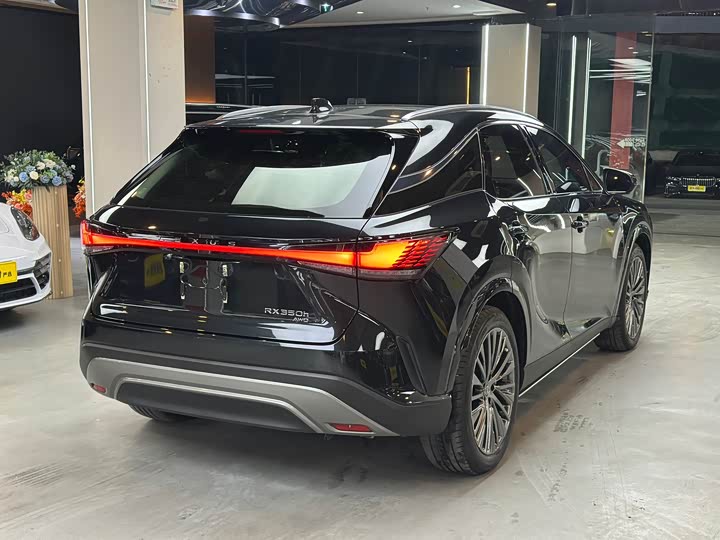 Фото 14 - Lexus RX