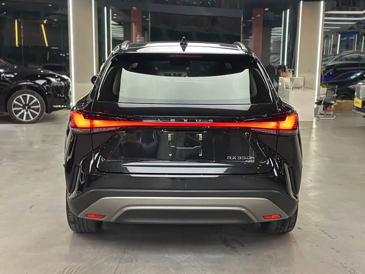 Фото 15 - Lexus RX