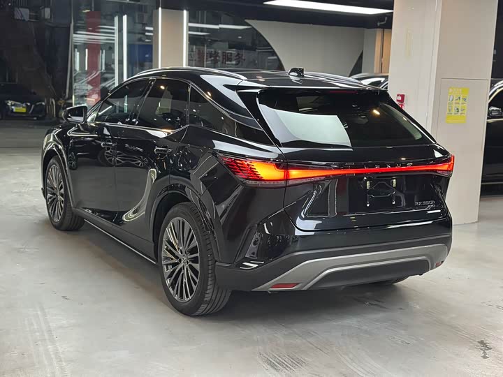 Фото 16 - Lexus RX