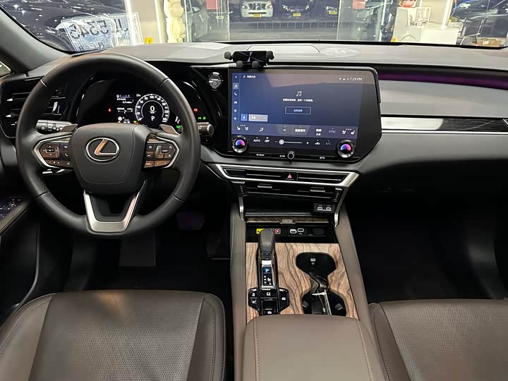 Фото 6 - Lexus RX