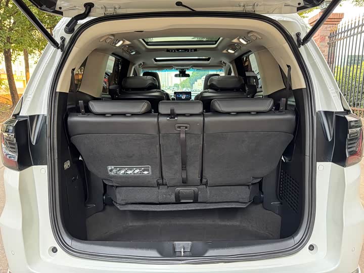 Фото 18 - Honda Elysion