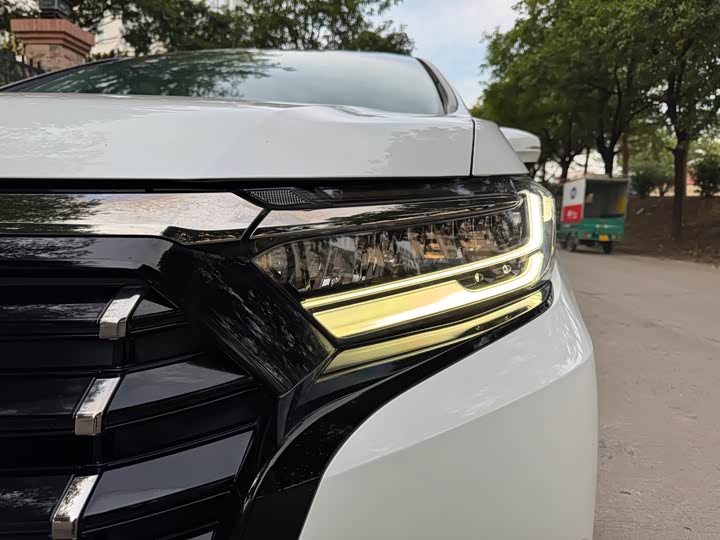 Фото 21 - Honda Elysion