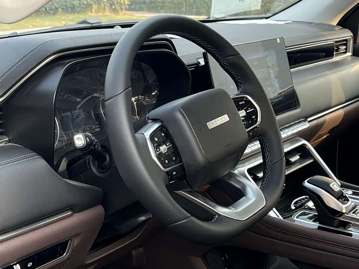 Фото 11 - Foton Mars 7