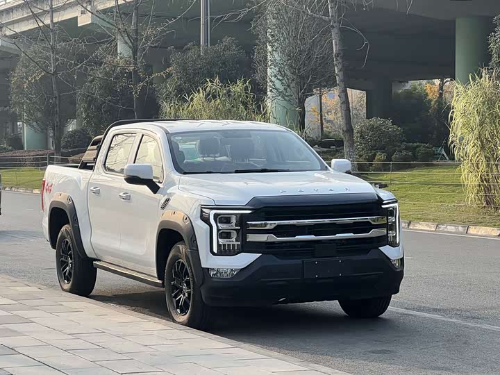 Фото 3 - Foton Mars 7