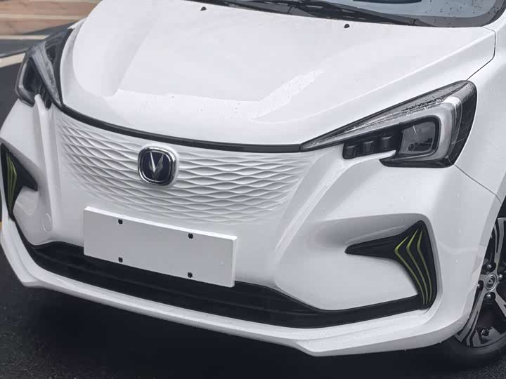 Фото 11 - Changan BenBen E-Star