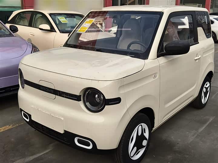 Фото 2 - Geely Galaxy Panda Mini