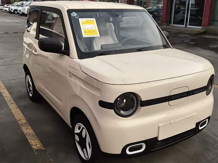 Фото 4 - Geely Galaxy Panda Mini