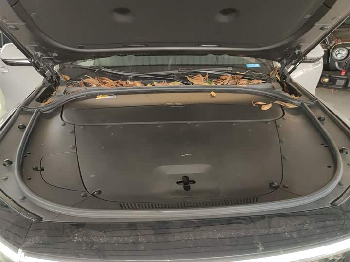 Фото 20 - LiXiang One