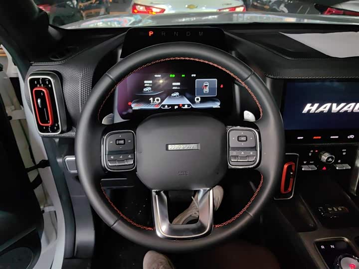 Фото 11 - Haval Dargo