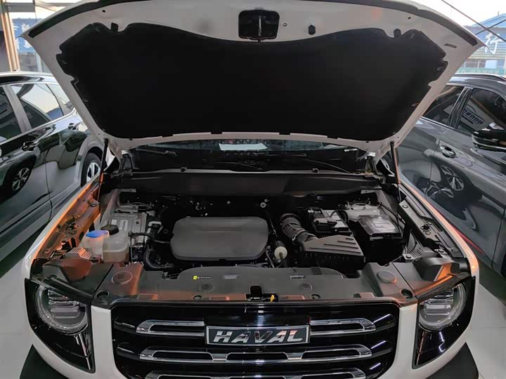 Фото 20 - Haval Dargo