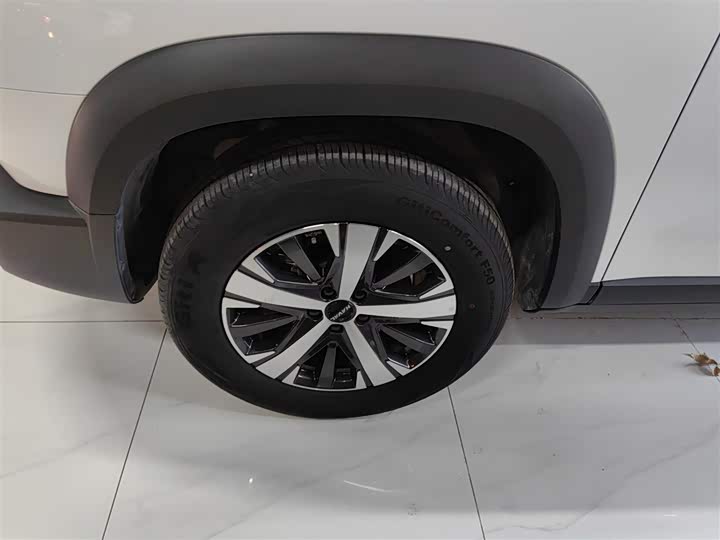 Фото 23 - Haval Dargo