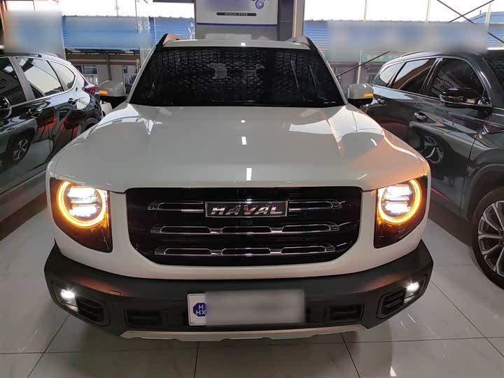 Фото 3 - Haval Dargo
