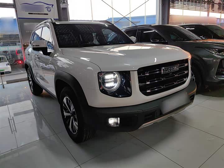 Фото 4 - Haval Dargo