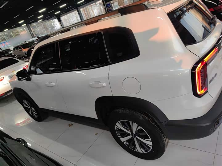 Фото 5 - Haval Dargo