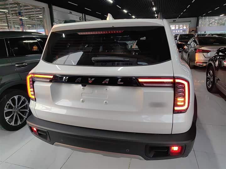 Фото 6 - Haval Dargo