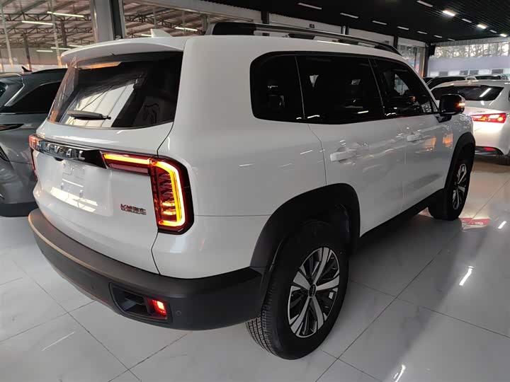 Фото 7 - Haval Dargo