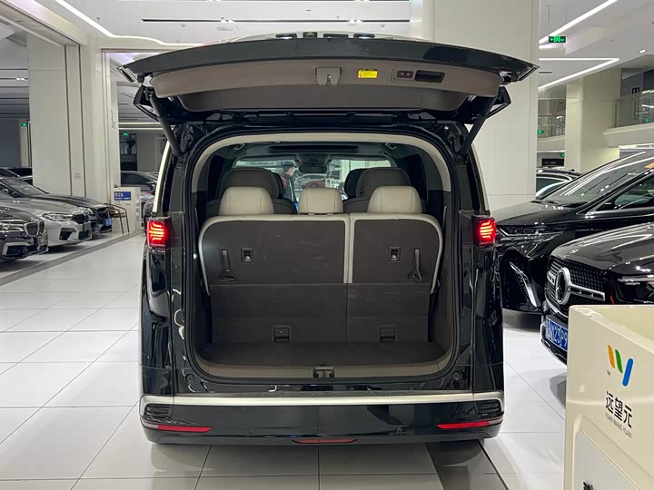 Фото 14 - Denza D9