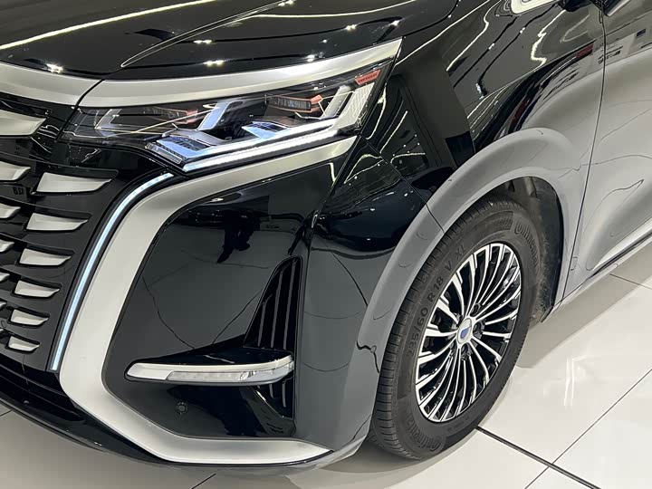 Фото 15 - Denza D9