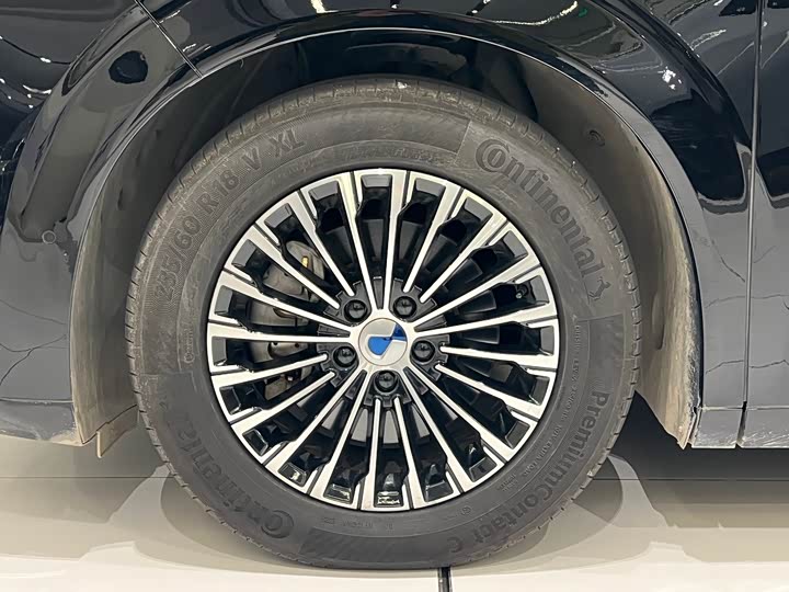 Фото 16 - Denza D9