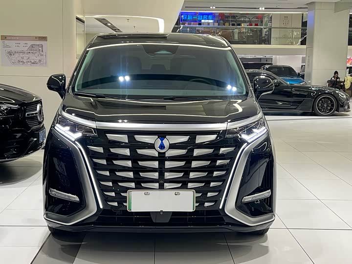 Фото 4 - Denza D9