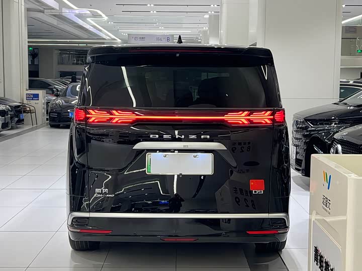 Фото 5 - Denza D9