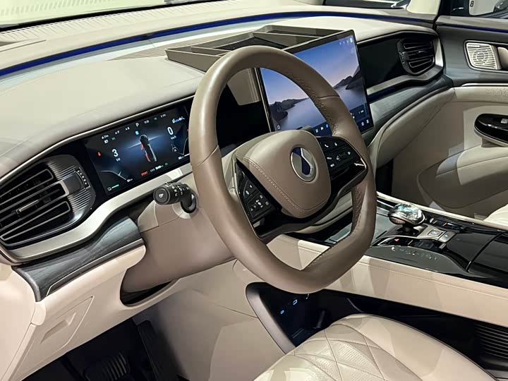 Фото 6 - Denza D9