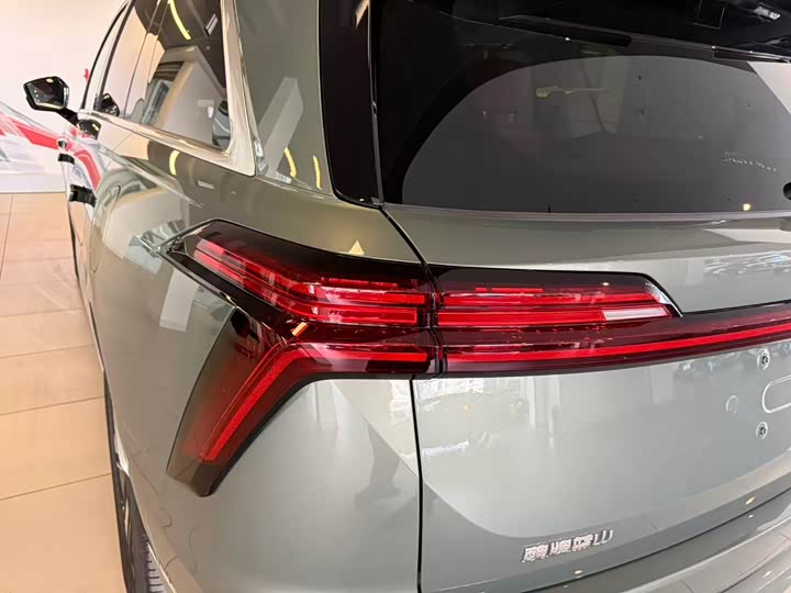 Фото 21 - Wey Lanshan