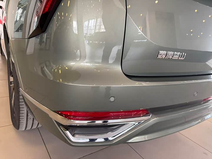 Фото 22 - Wey Lanshan