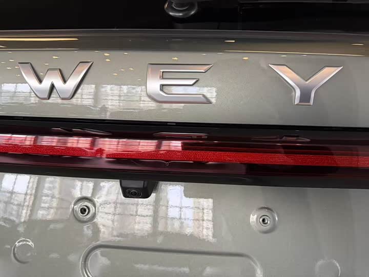 Фото 24 - Wey Lanshan