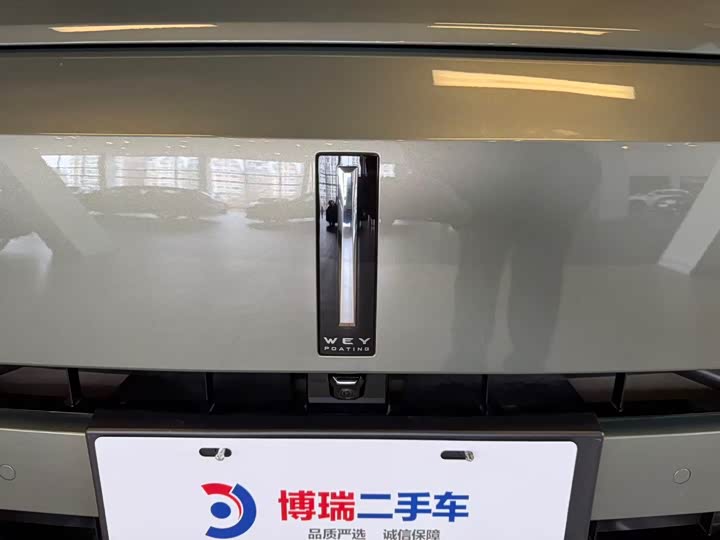 Фото 34 - Wey Lanshan