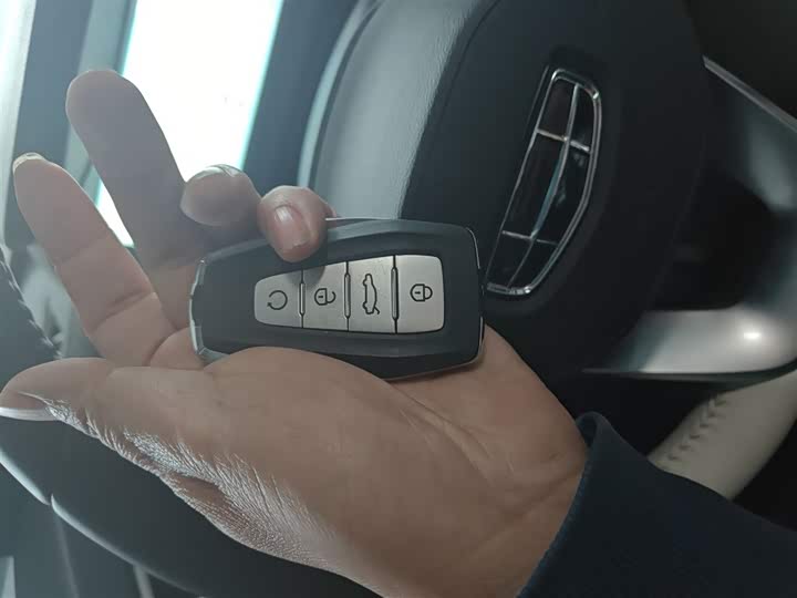 Фото 9 - Geely Emgrand L Hi·P Hybrid