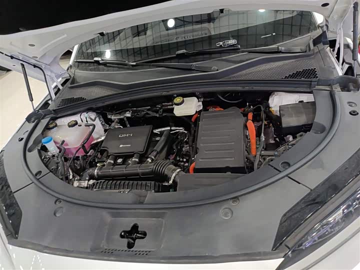 Фото 20 - BYD Song Plus Hybrid/EV