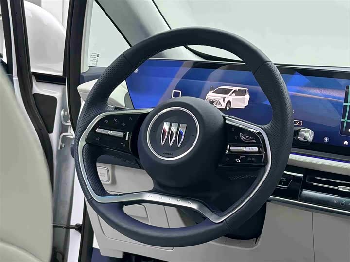 Фото 14 - Buick GL8 Century