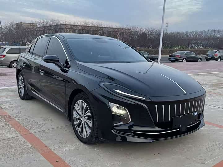 Фото 4 - Hongqi E-QM5