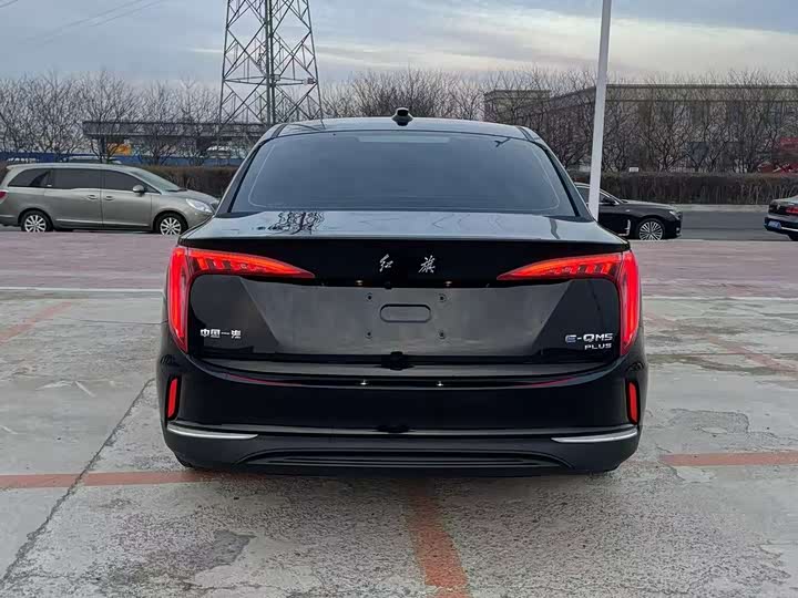 Фото 8 - Hongqi E-QM5