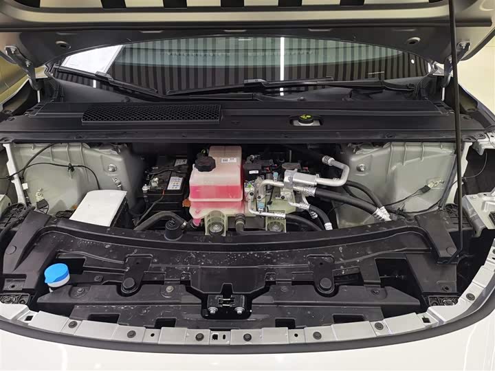 Фото 20 - XPeng F57