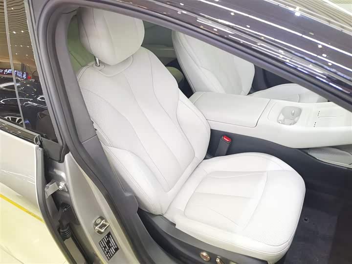 Фото 25 - XPeng F57