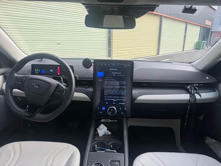 Фото 10 - Ford Mustang Mach-E