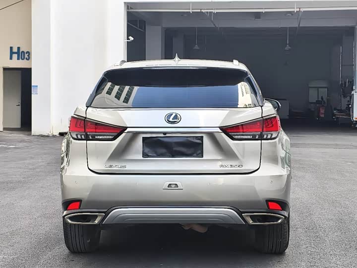 Фото 17 - Lexus RX