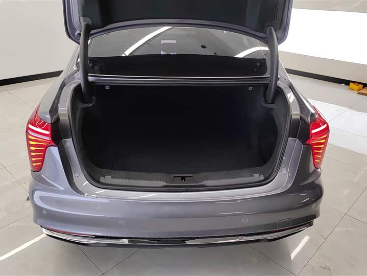 Фото 4 - Hongqi H5