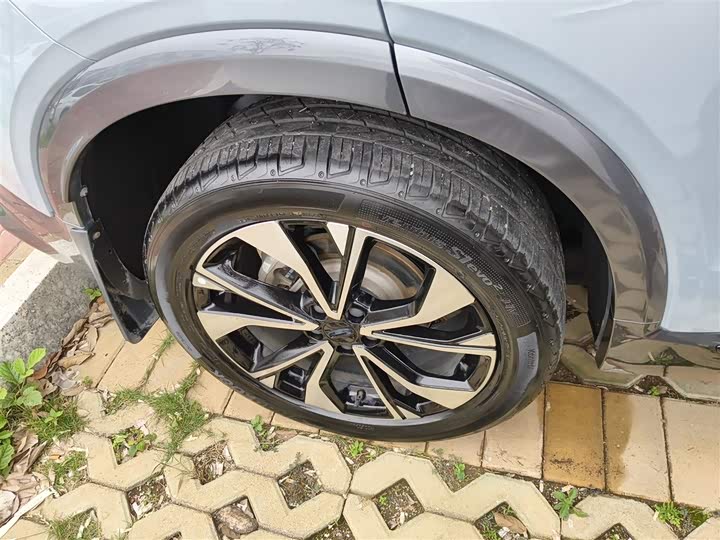 Фото 30 - Geely Tugella S