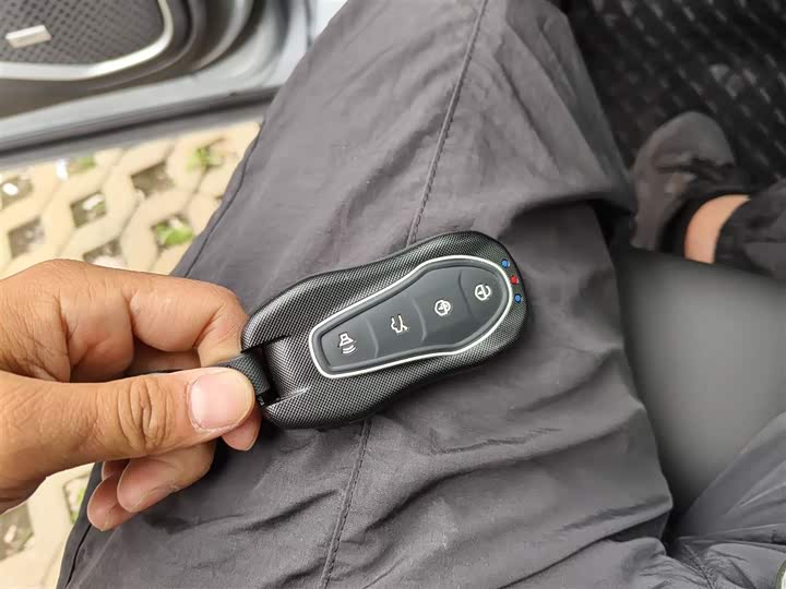 Фото 9 - Geely Tugella S