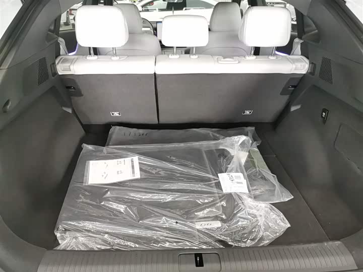 Фото 19 - XPeng G6