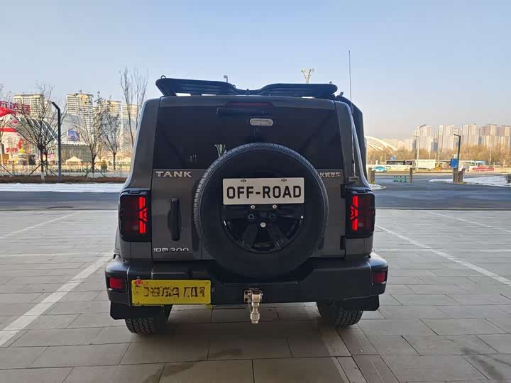 Фото 5 - Tank 300