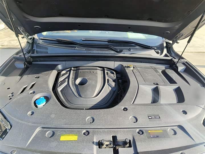 Фото 20 - Geely Tugella