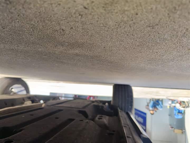 Фото 21 - Geely Tugella