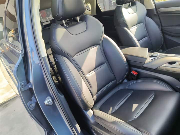 Фото 25 - Geely Tugella