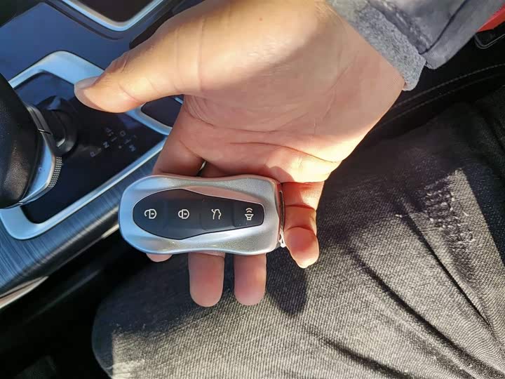 Фото 9 - Geely Tugella