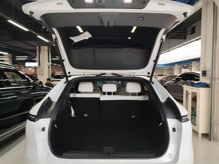 Фото 19 - XPeng G6